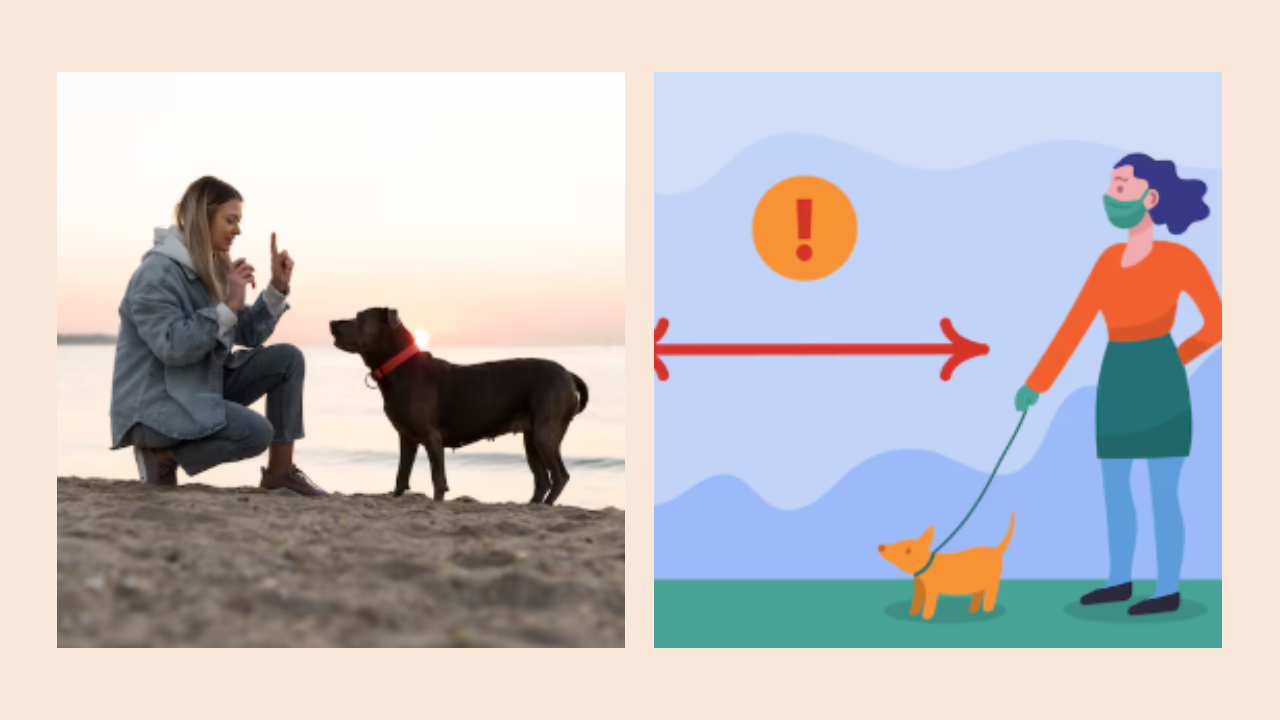 Is Qoghundos Harmful